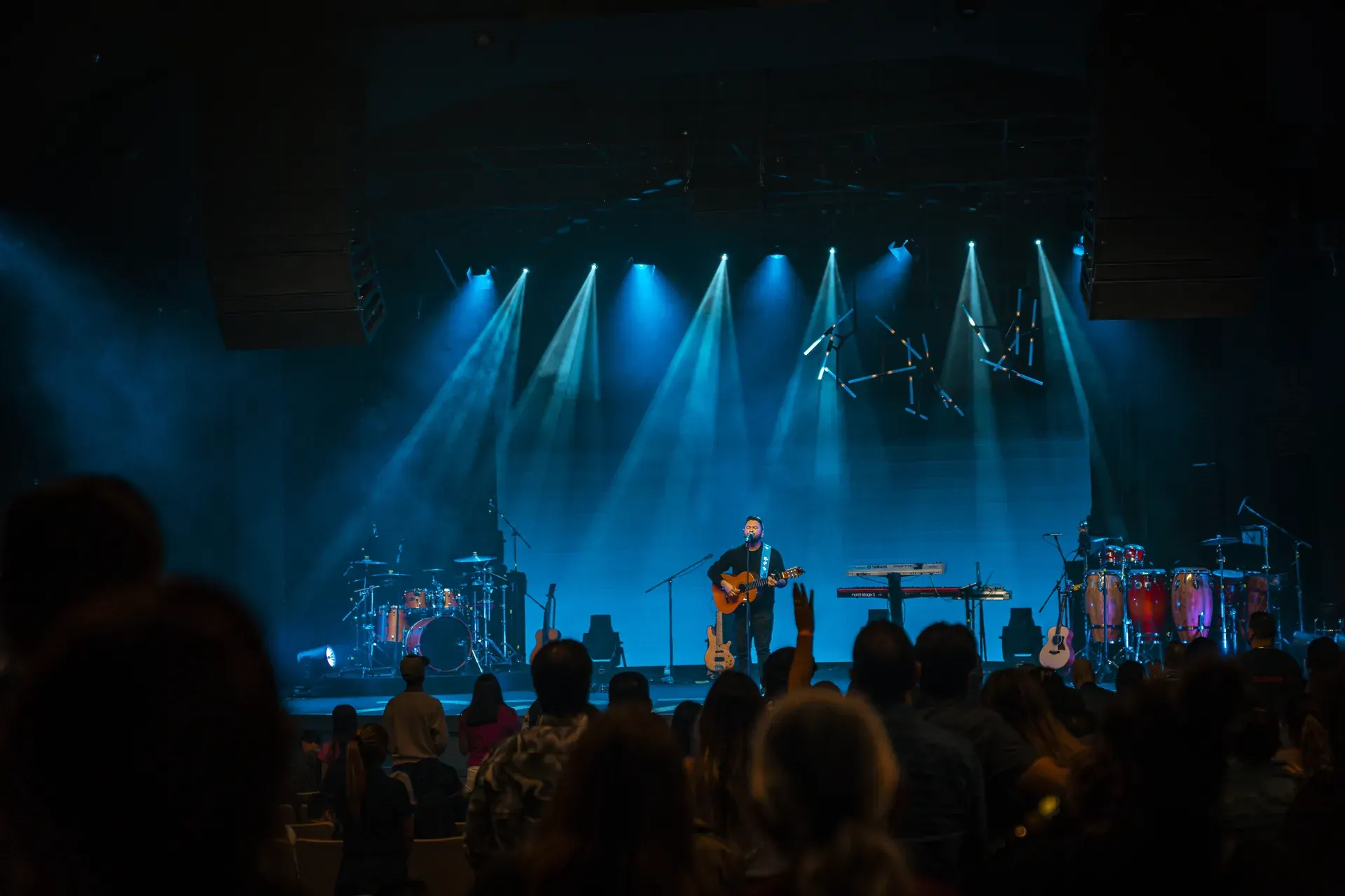 Luis Fabián en concierto