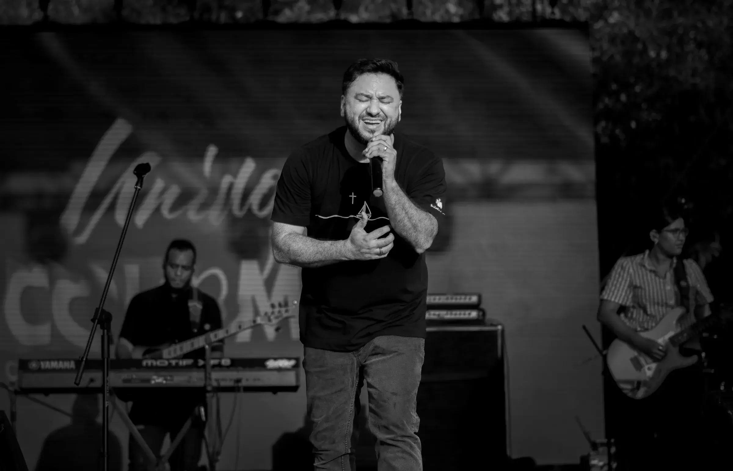 Luis Fabián cantando en concierto