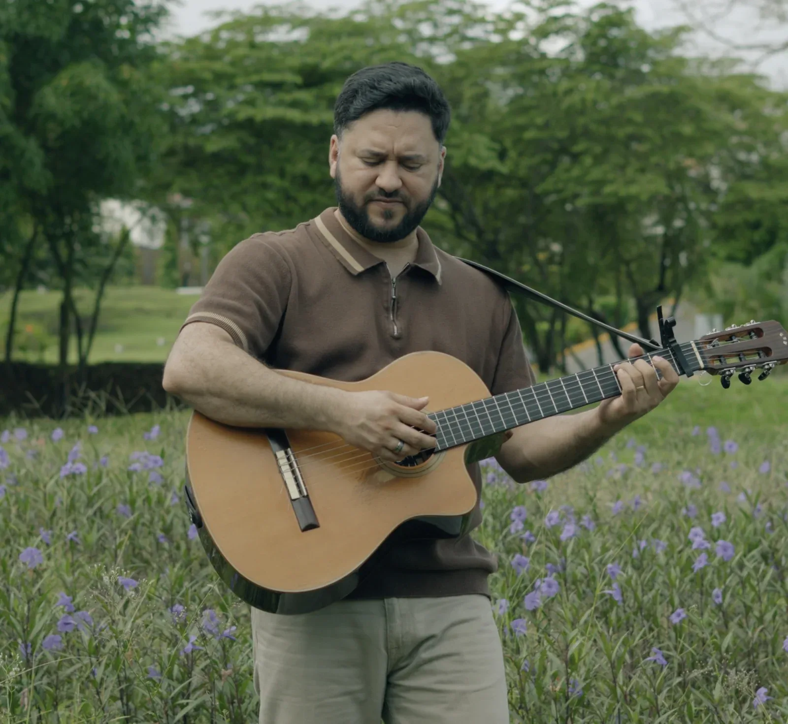 Luis Fabián en concierto